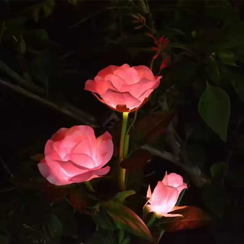 无法加载图片